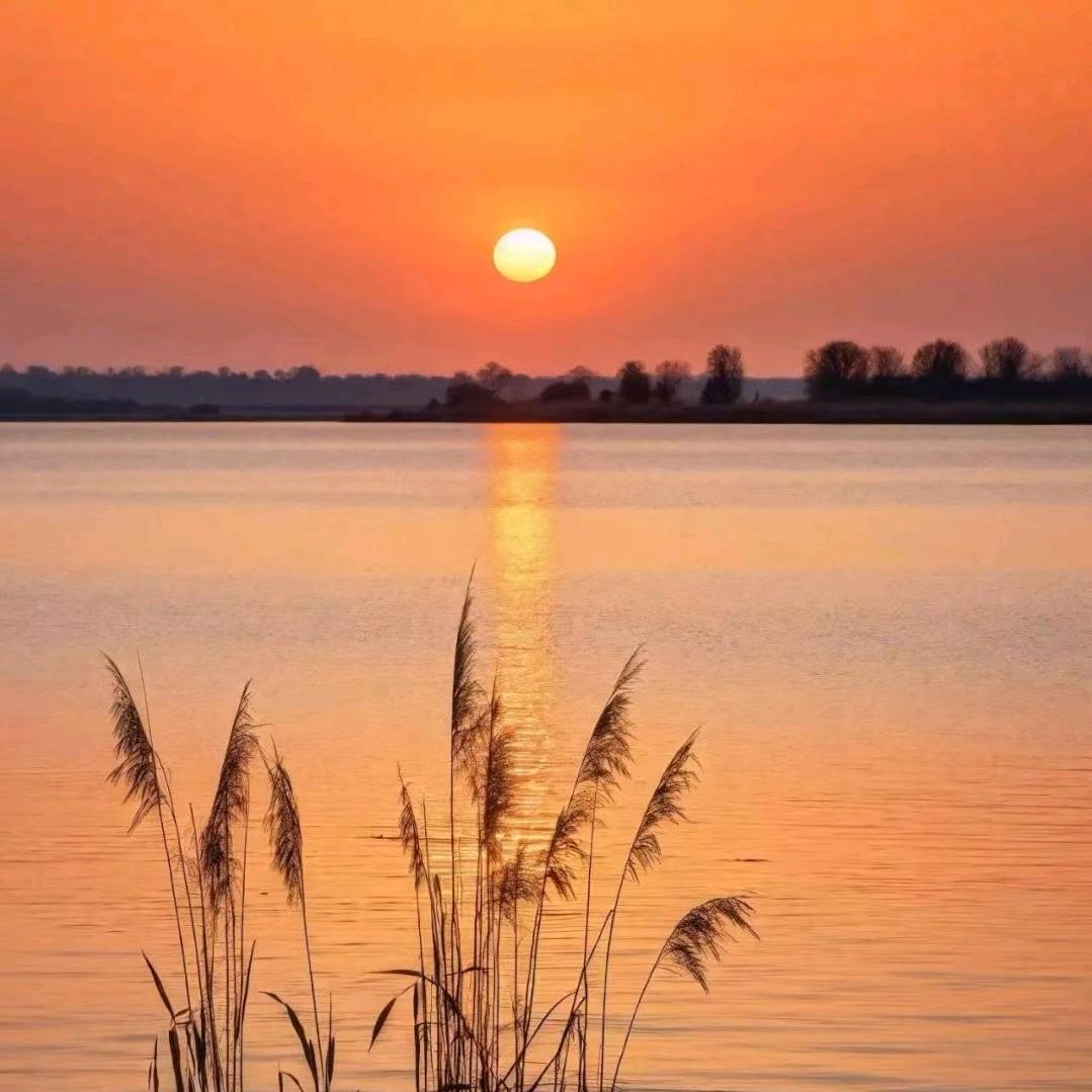 对方正在输入…