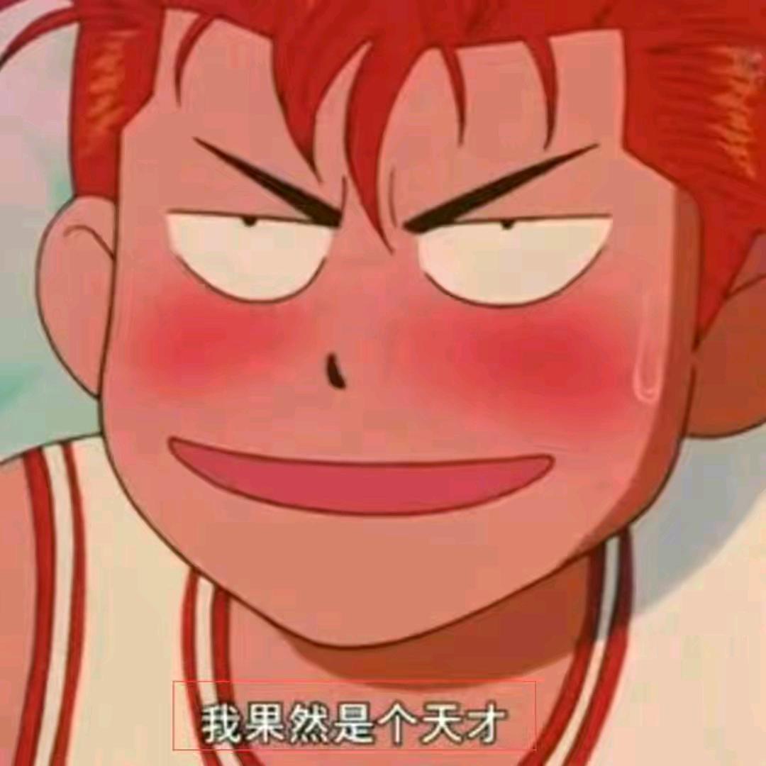 猪老八