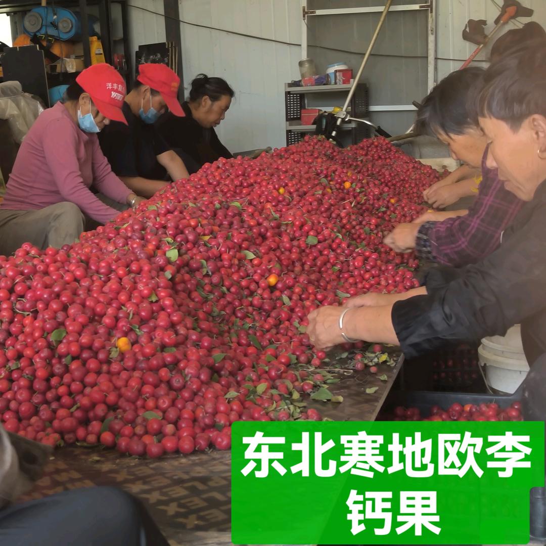 范家村圣莲谷生态园