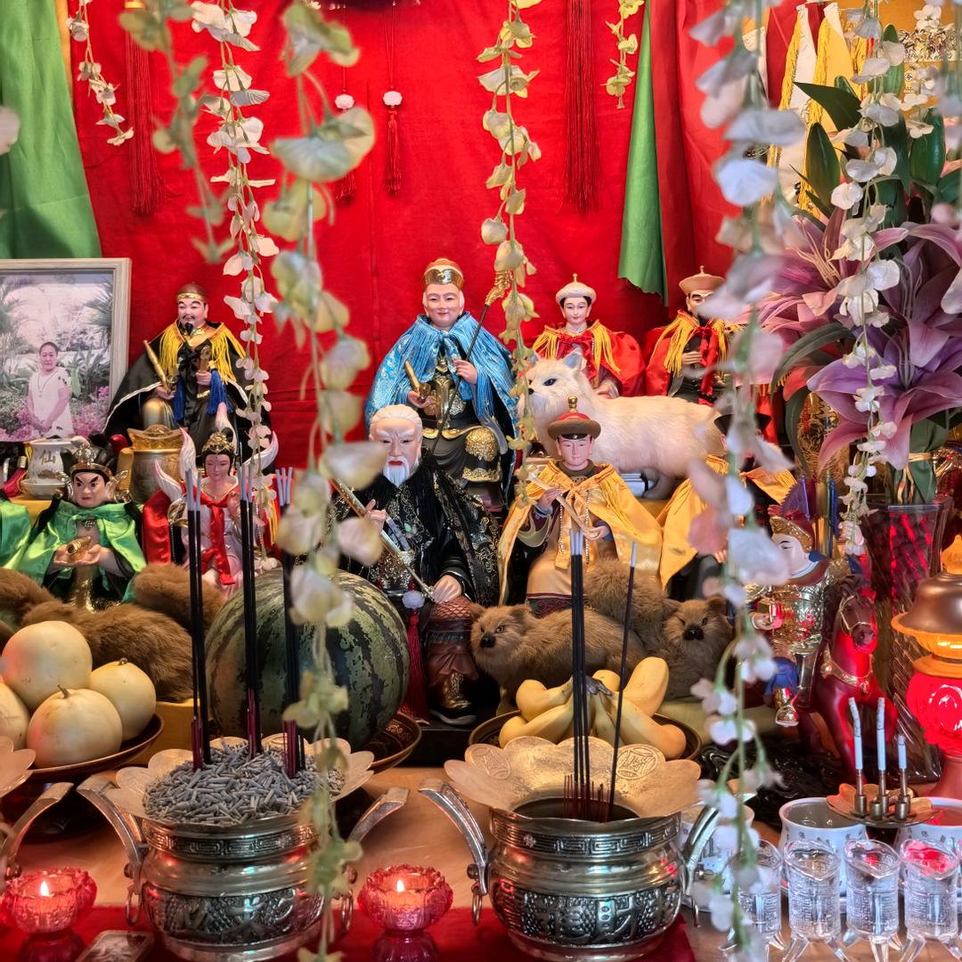 聚仙阁🦊胡小帅