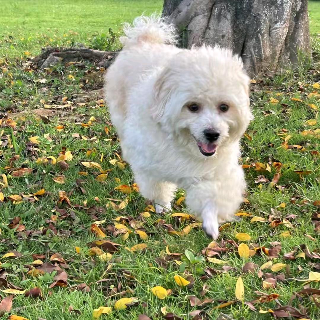 💘💘💘好运来💘💘💘