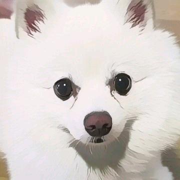 般若