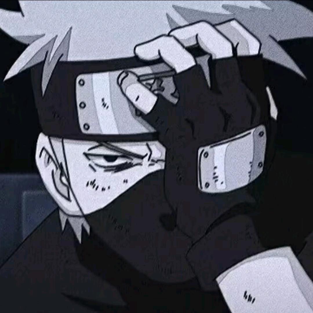 喝摩卡的摩卡猫