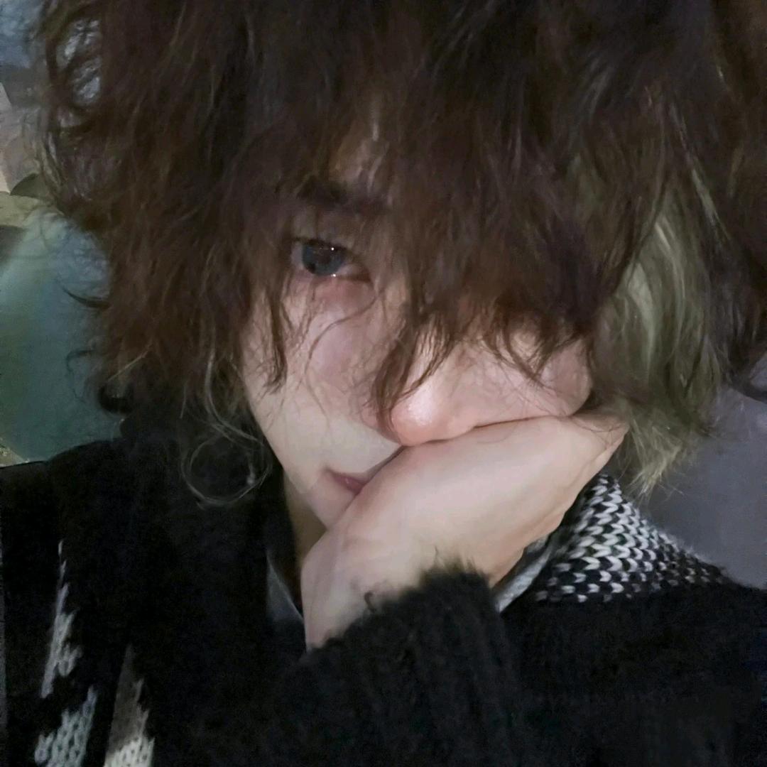 林上木🌲