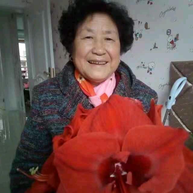 叮当姥姥