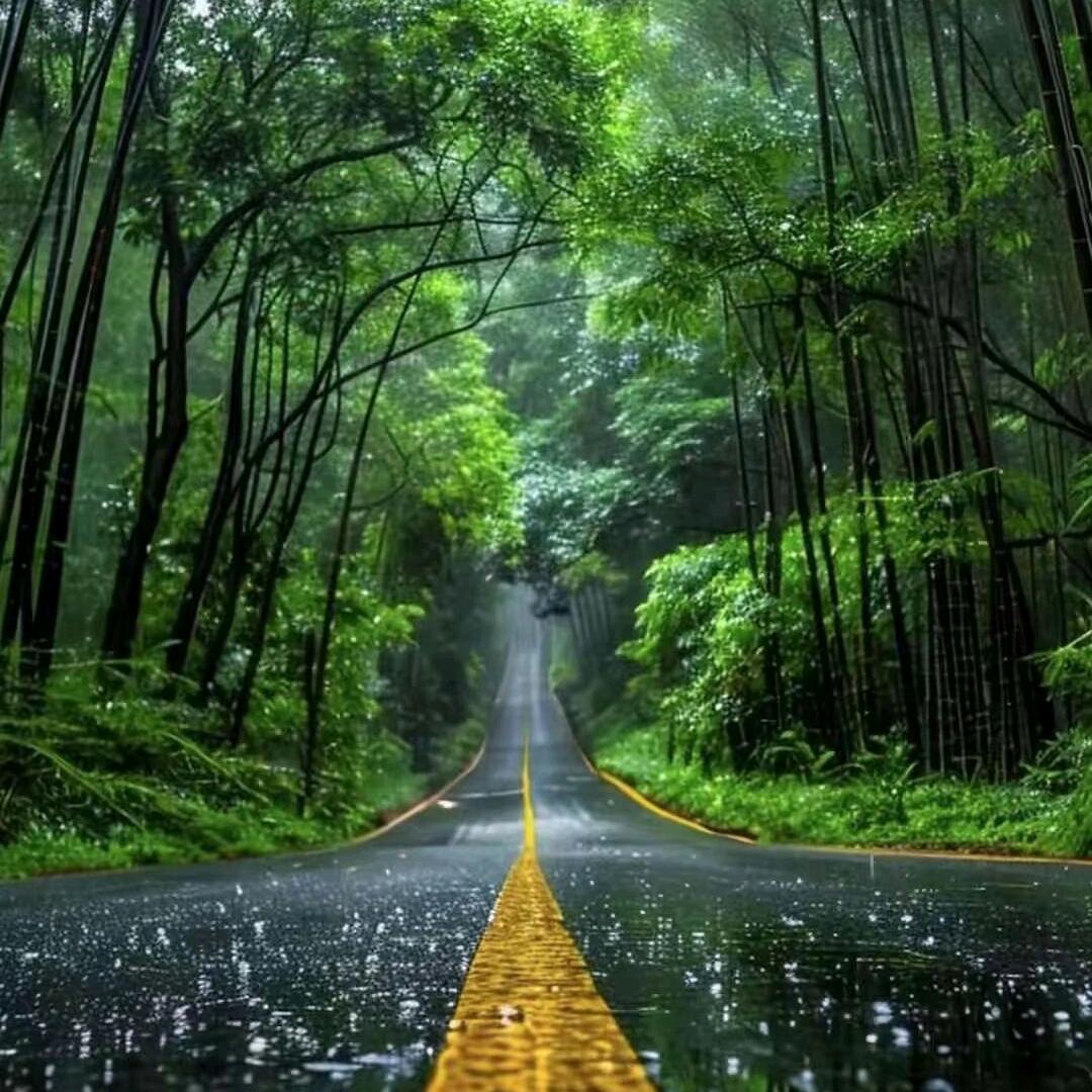 许你一世欢颜、嫣然笑尽倾城✟