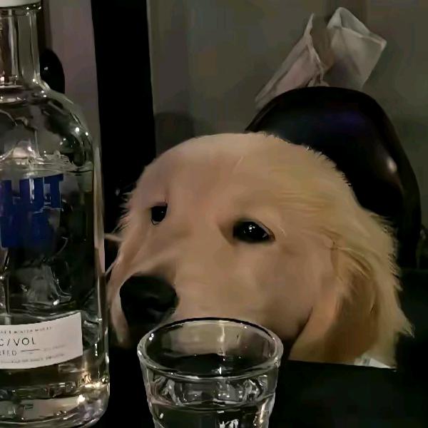 不道啊！