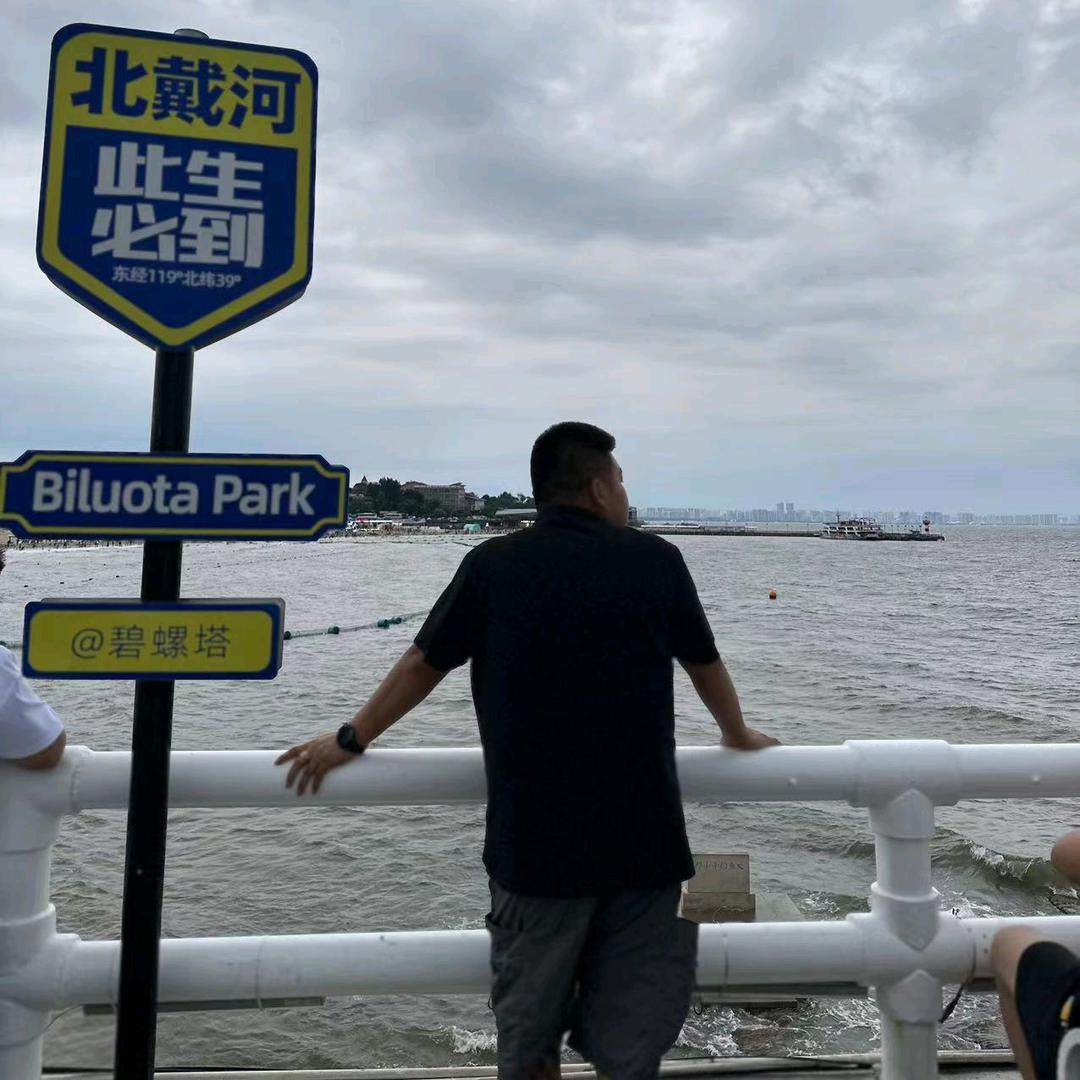 定兴县维迈二手车销售有限公司