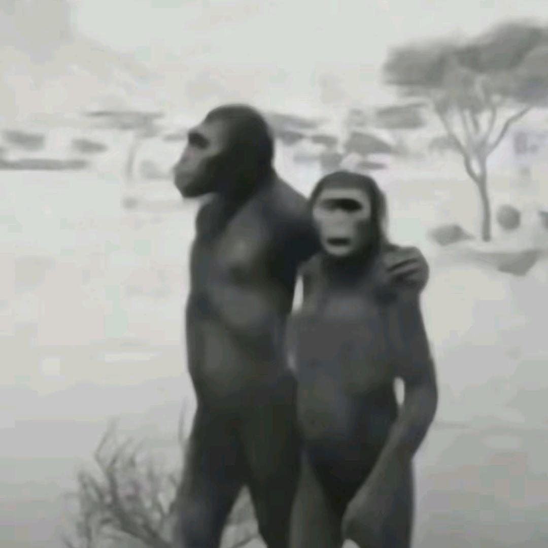 给主播点点举报