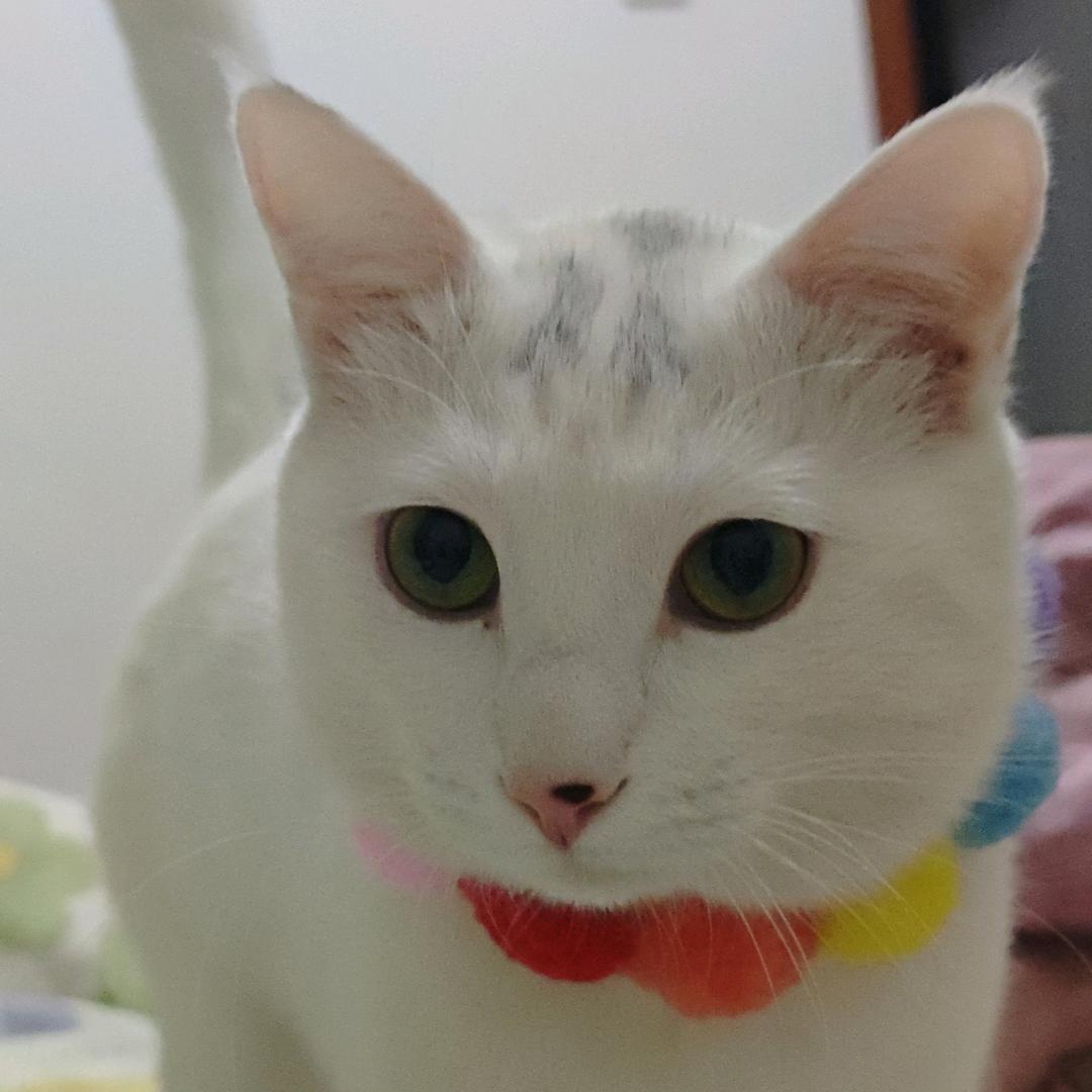 今天只做一件事