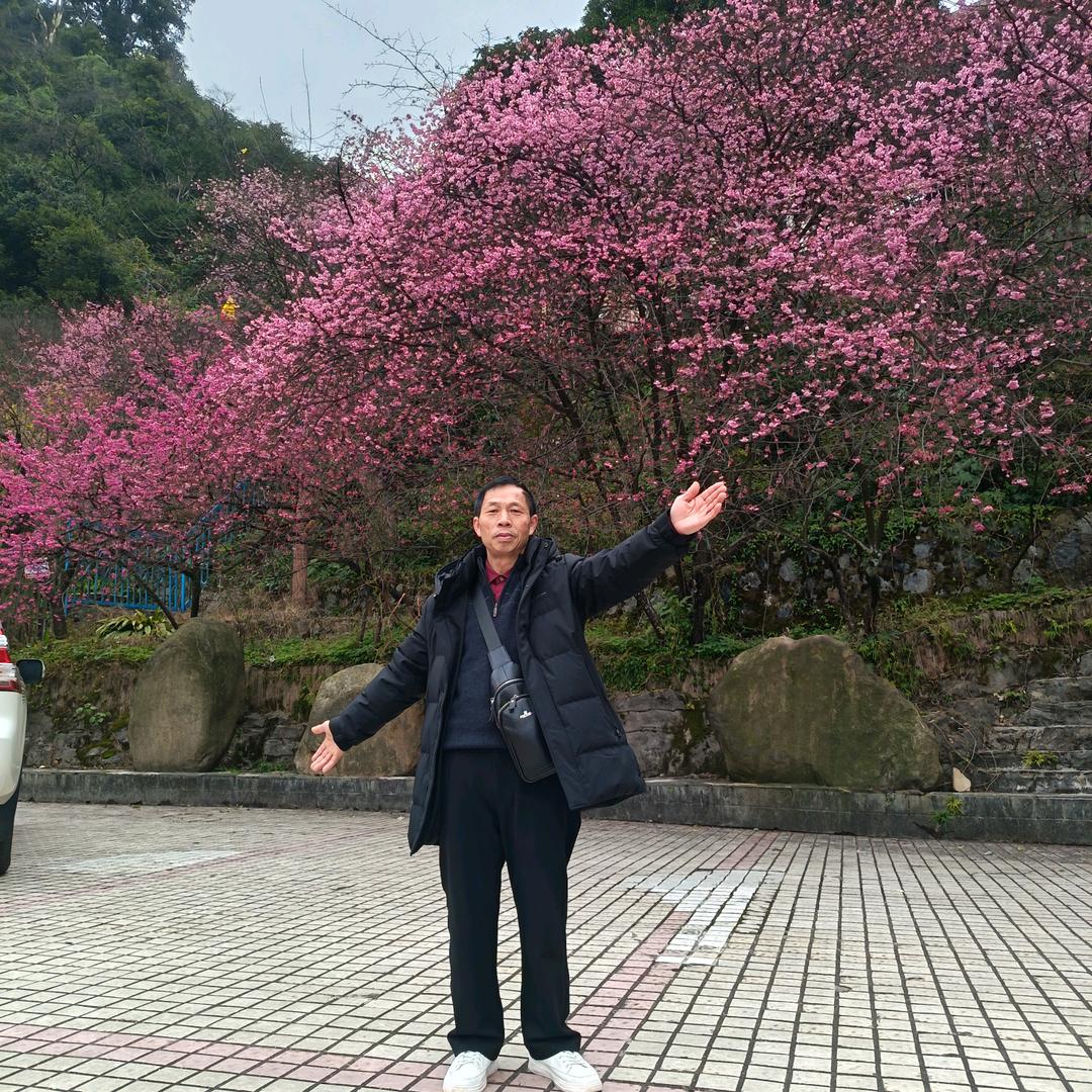一路繁花