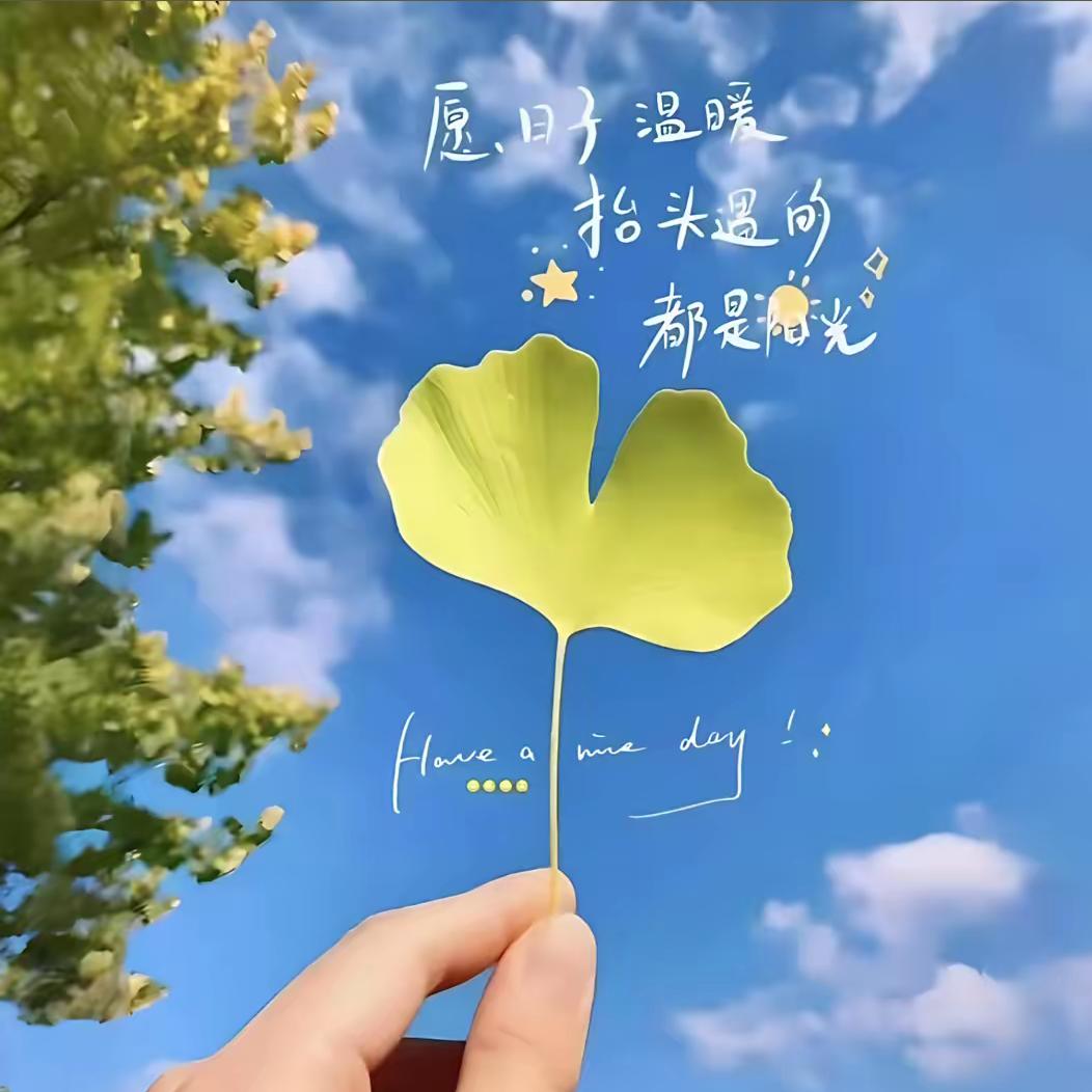 🍒静静💞呀！