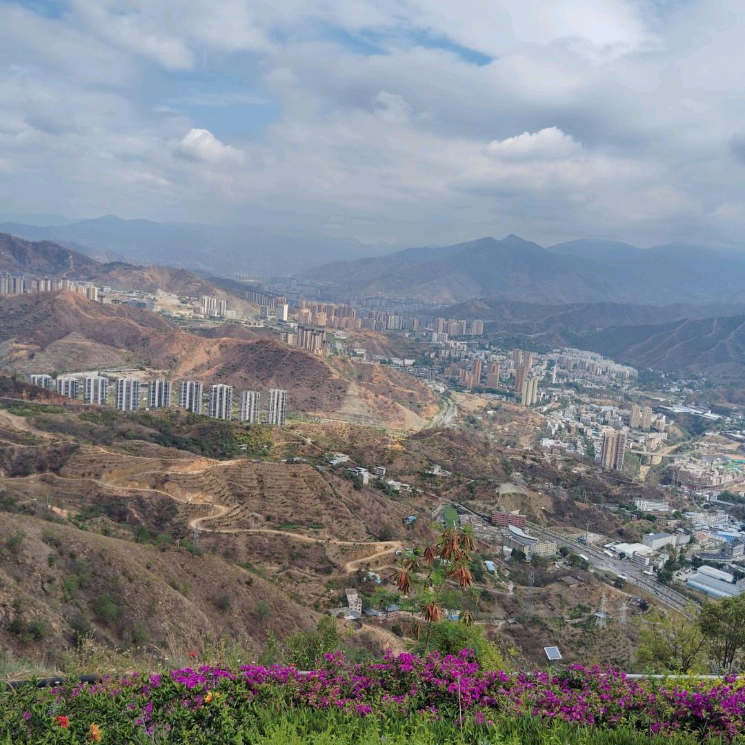 袁晓歌🐭🐭🐭