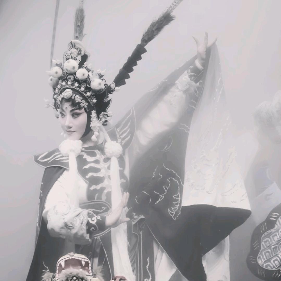Z-Jun