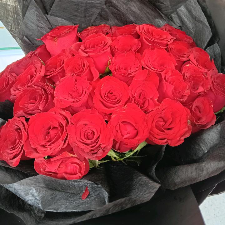 女神燕儿