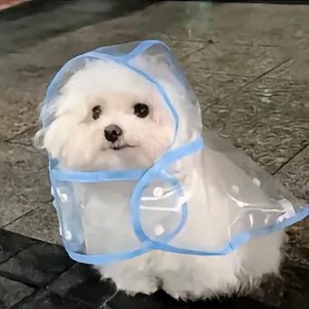 早点睡·