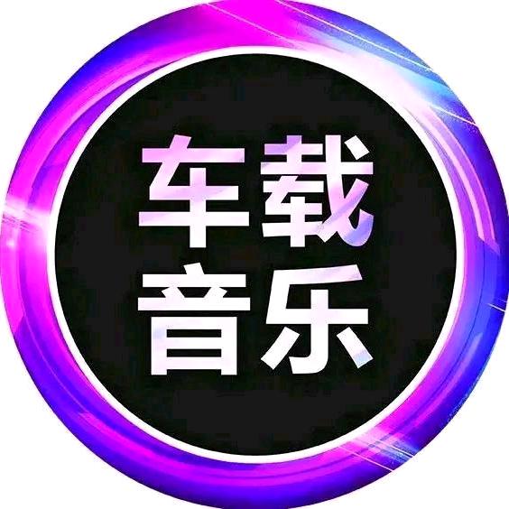 优音车载DJ（U盘）