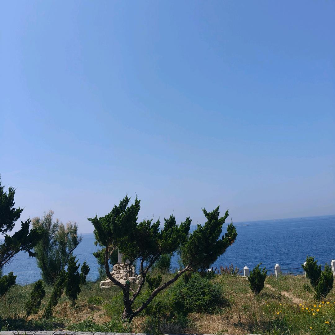 河南李姐（拒私聊）