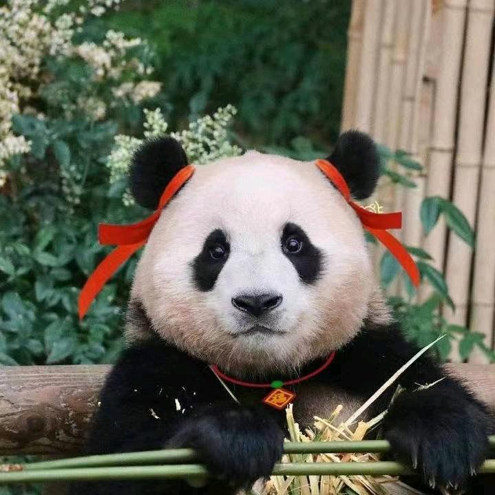 仰望天空