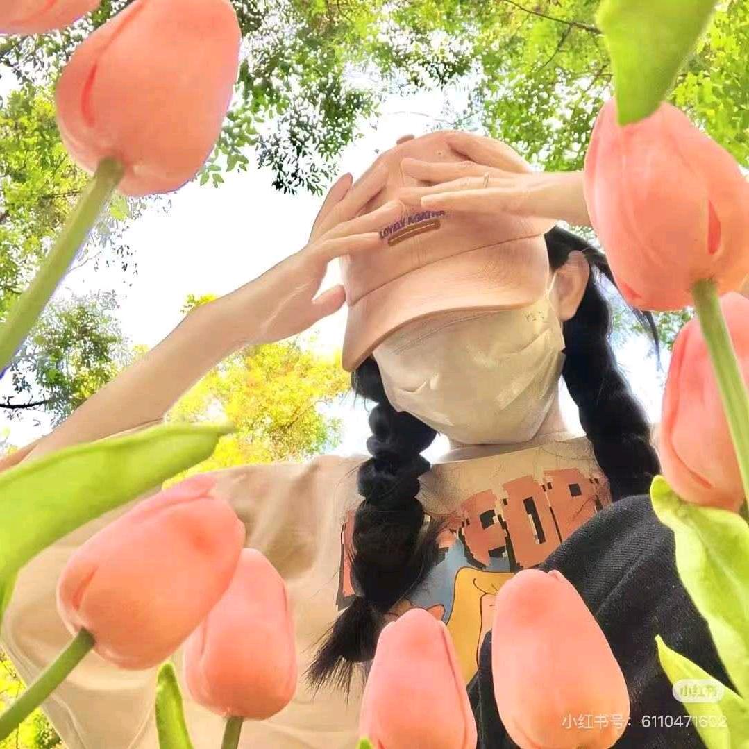 石榴（郡城文化）