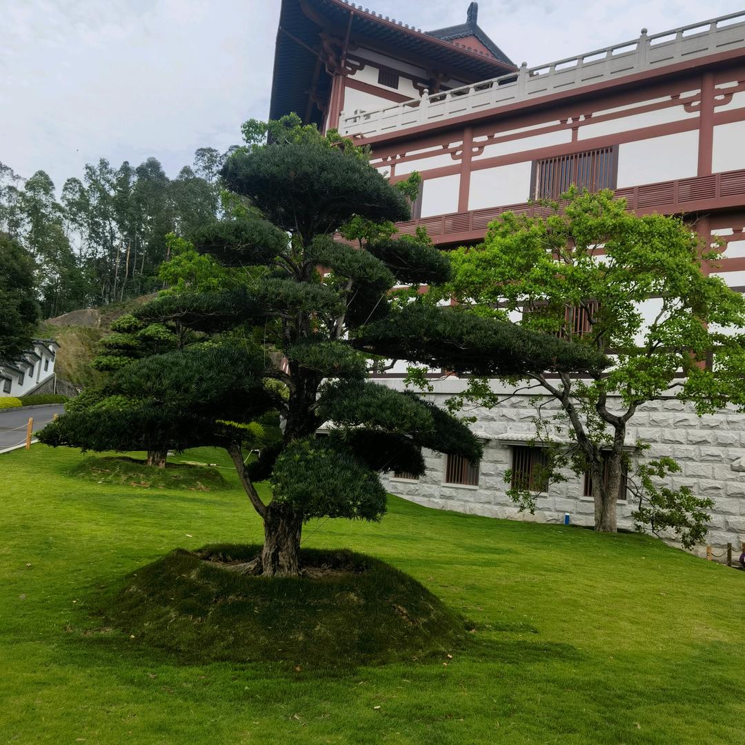 用户9607453495741