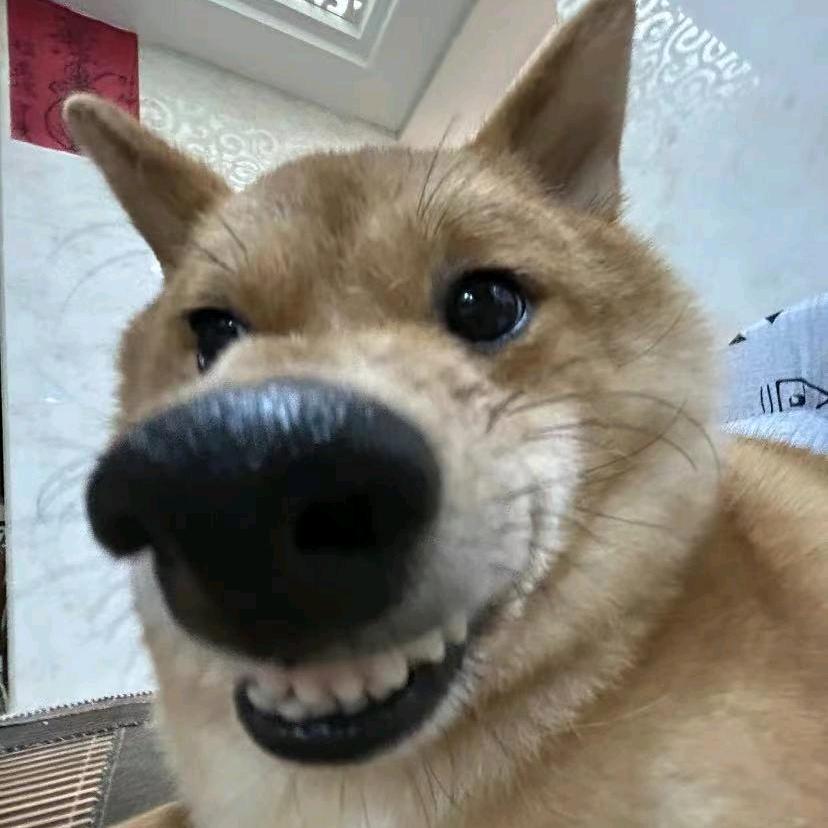 风挽