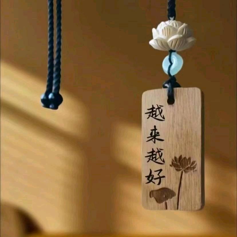 南山大美__关关