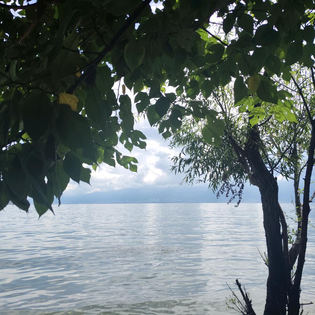 小蔡不菜  ~   ~🍃