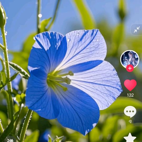 潍城区博好蔬菜良种店（个体工商户）