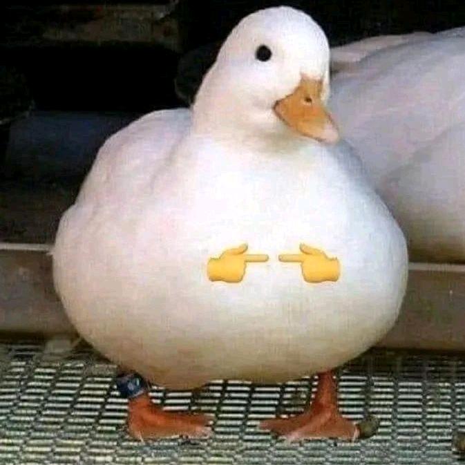 感应