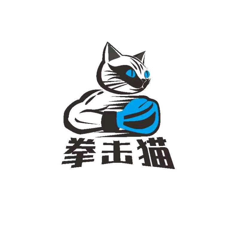 拳击猫--拳击散打武术跳绳体能