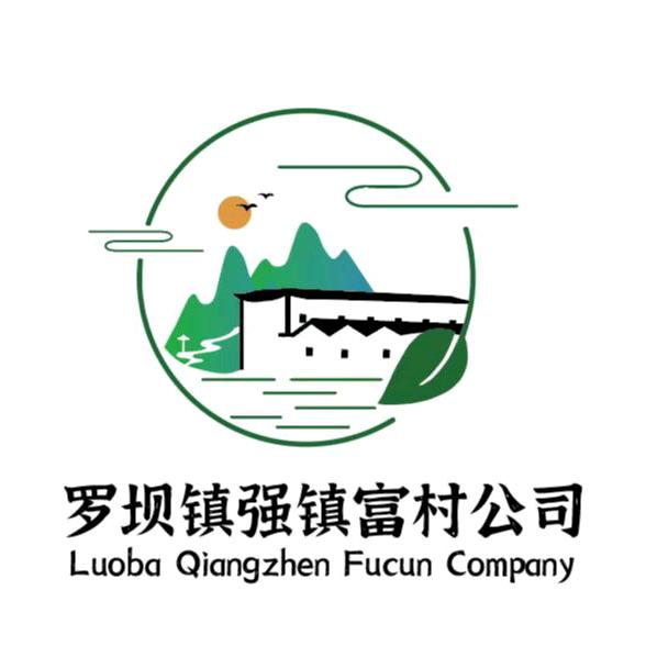 罗坝镇强镇富村公司