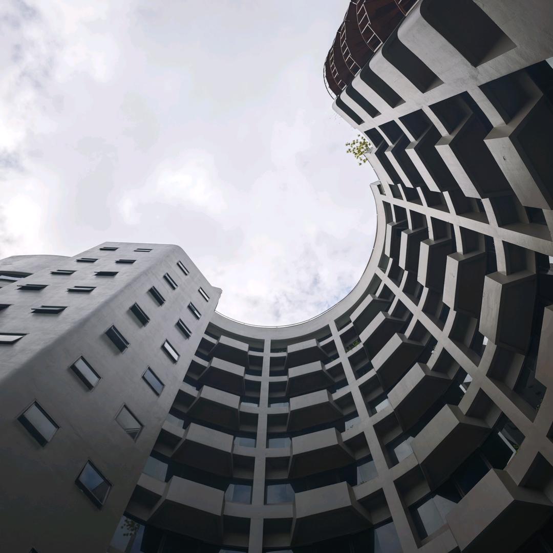 日历仙人