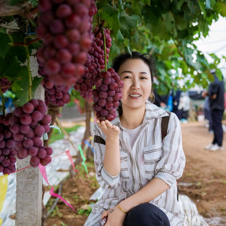 曹倩说葡萄