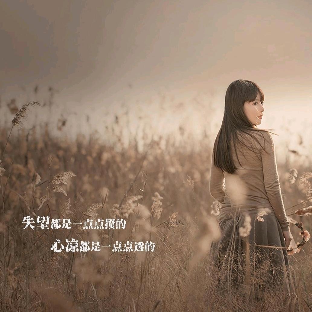 এ᭄᭄樱花如雨꧂