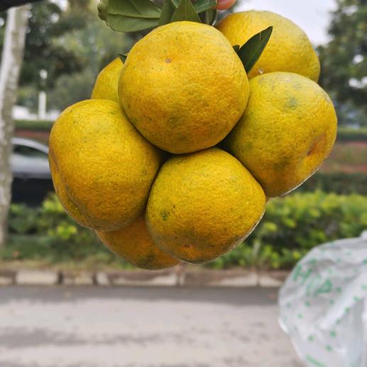 👿👿👿👿👿👿👿