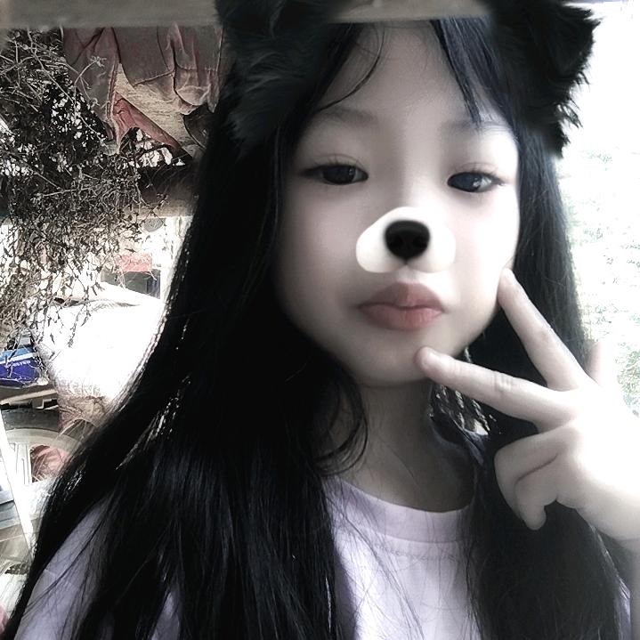 秋天的菊花🌻🌻