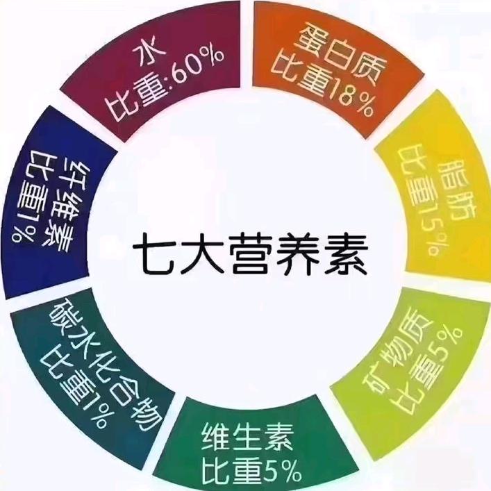坤和养正