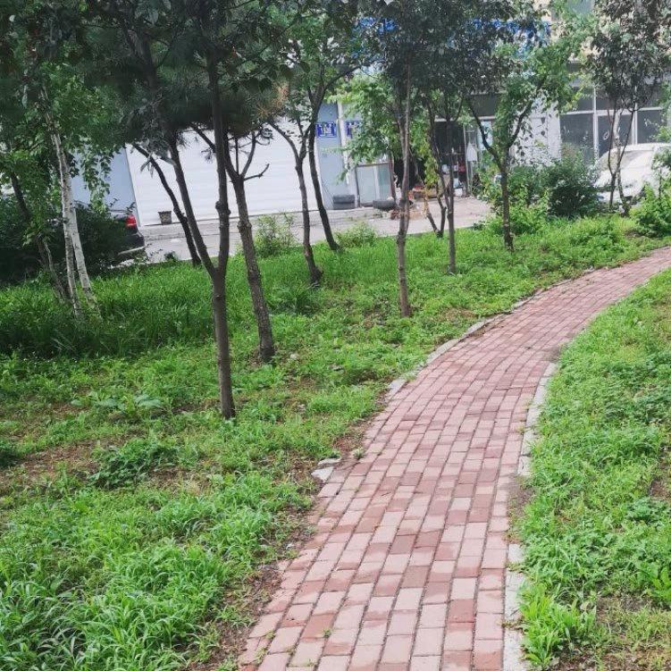 平凡之路、