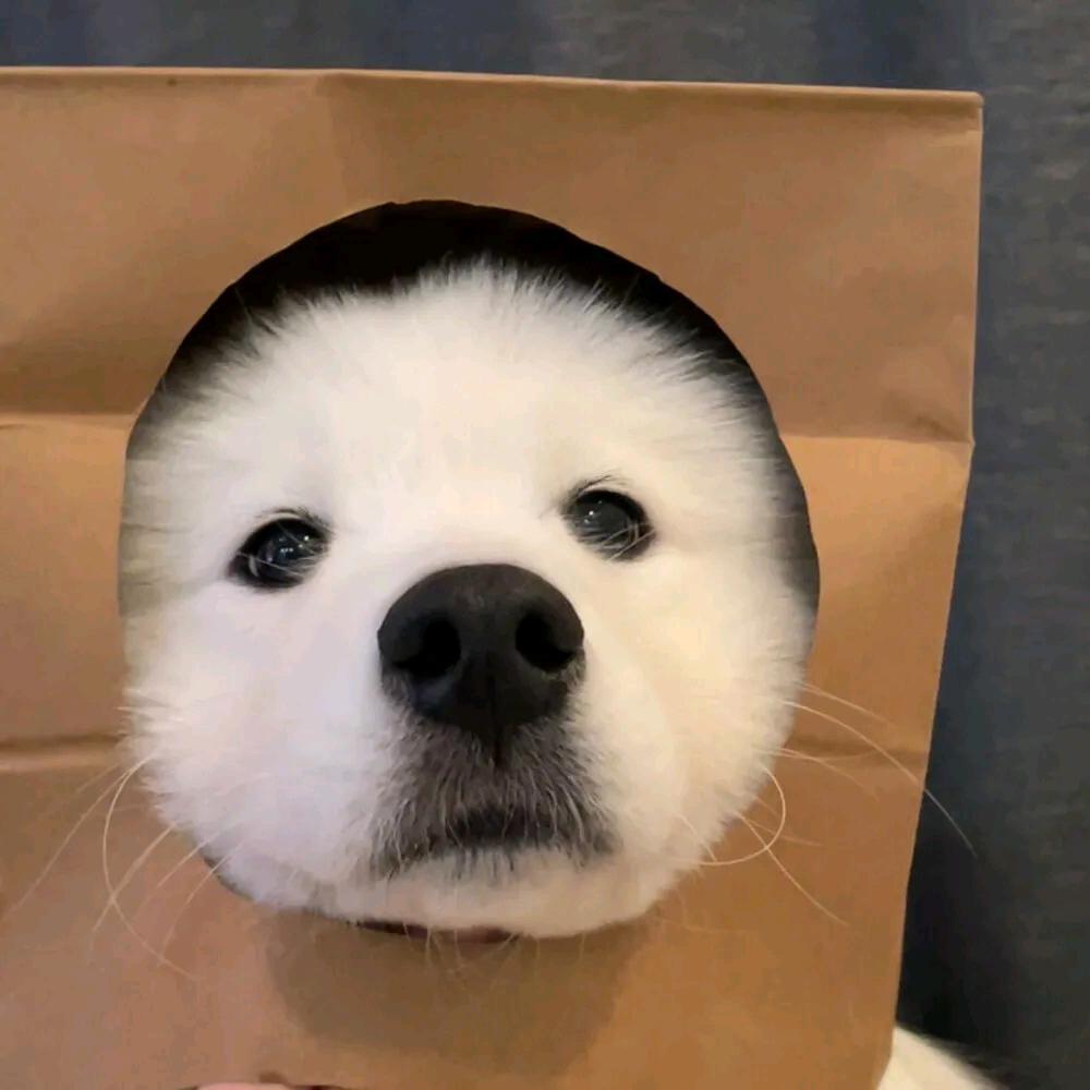 墨白