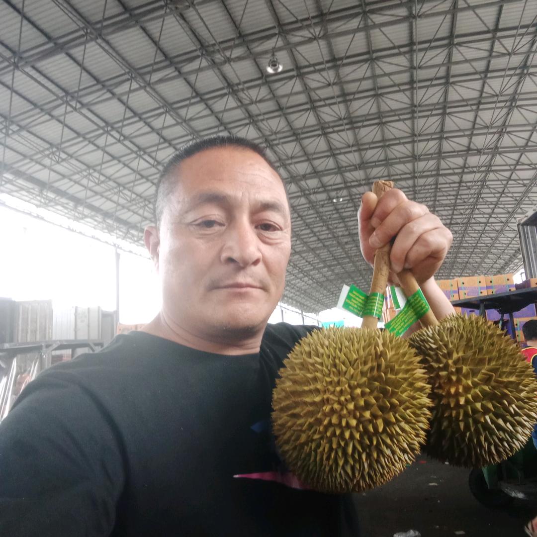 从头开始