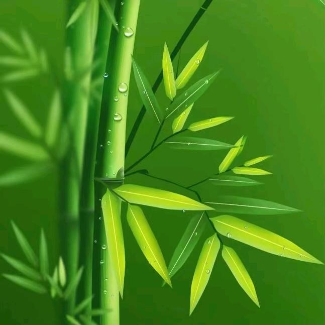 梅林
