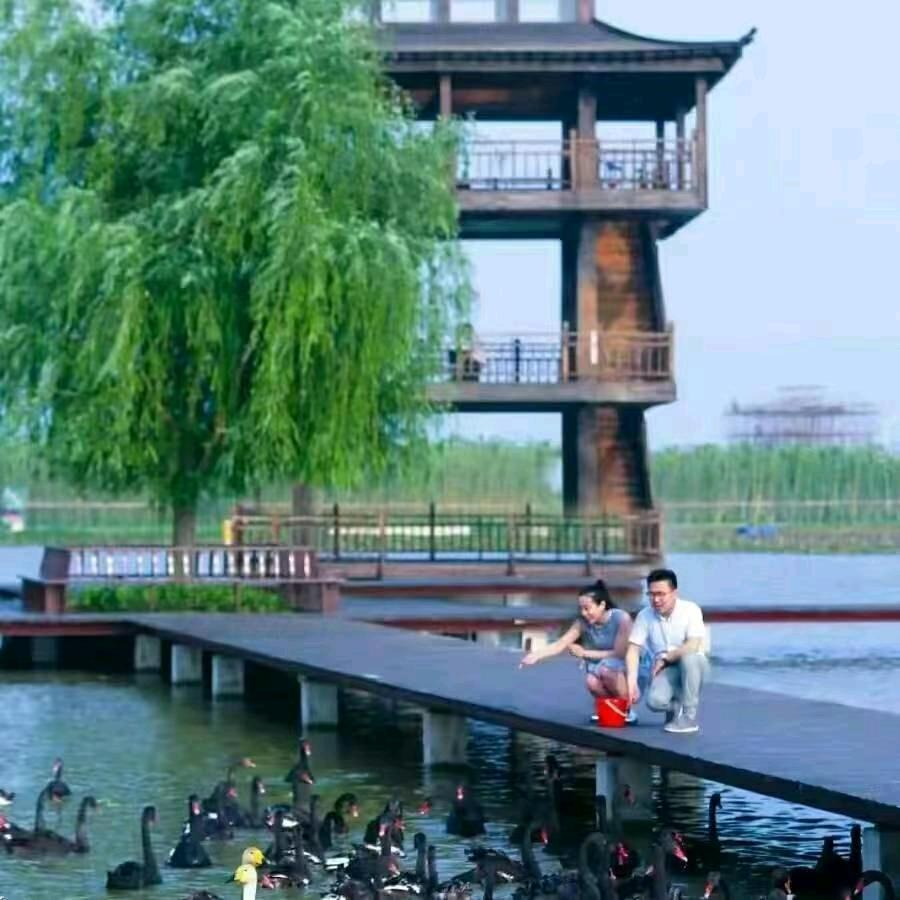 老付