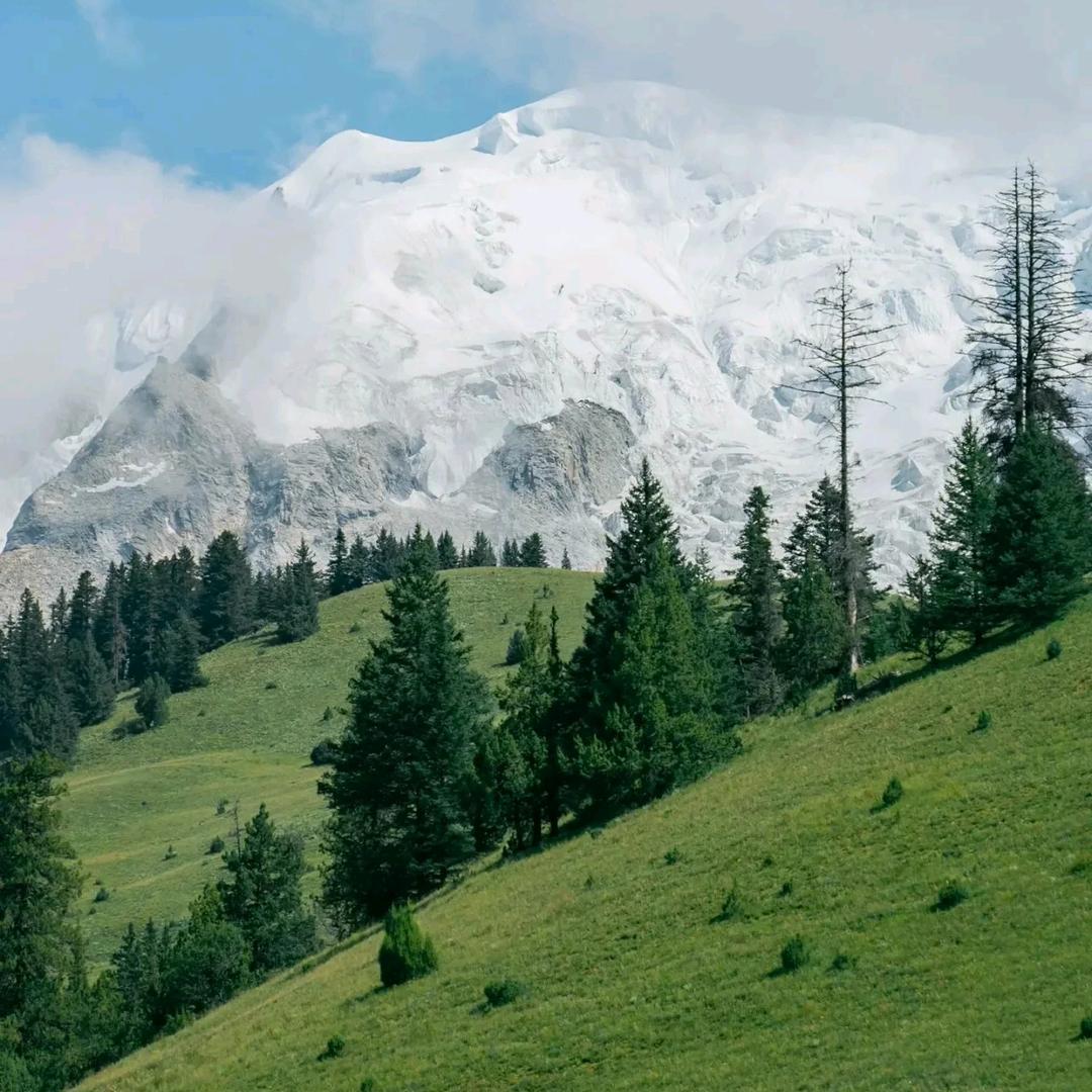 全国最后一只动物