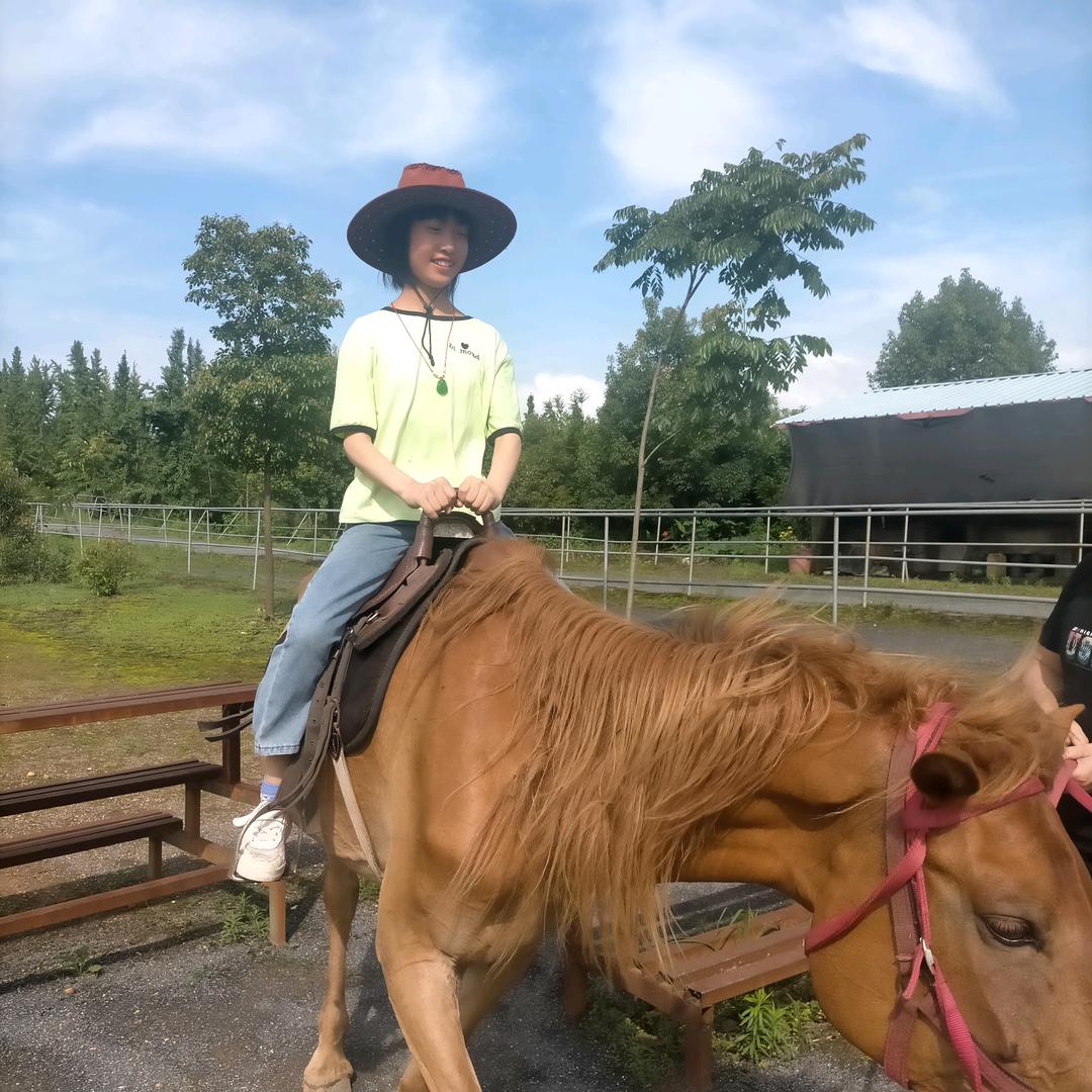 鹿马桥镇小黄副食欢迎您