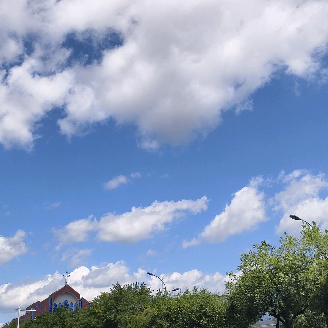 P，A。女王DE赏金p--g