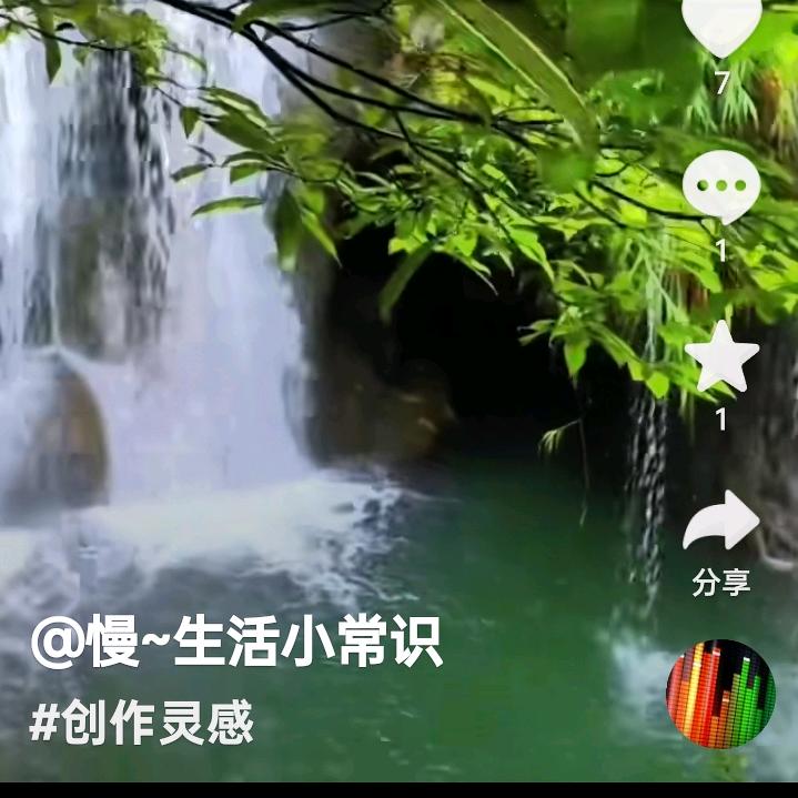 淼淼