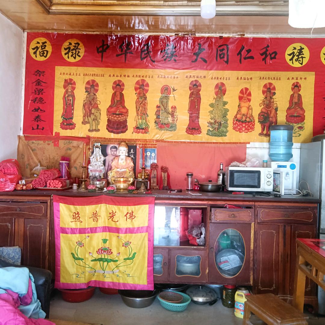 臧天师