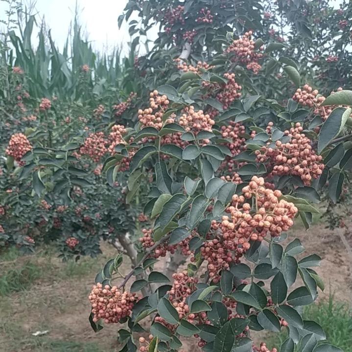 我就是我