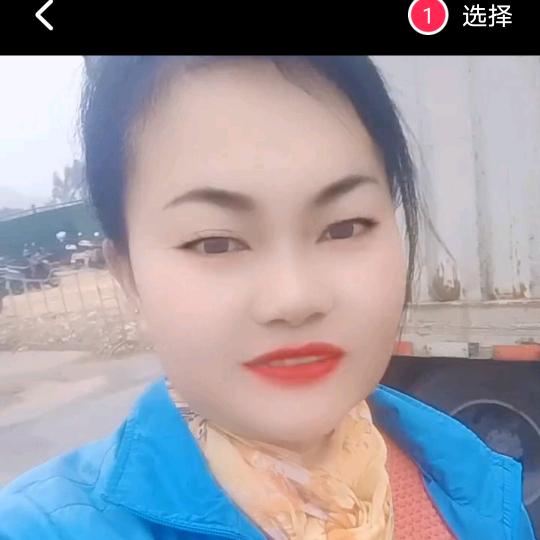 小菊二号晚上8：40首播